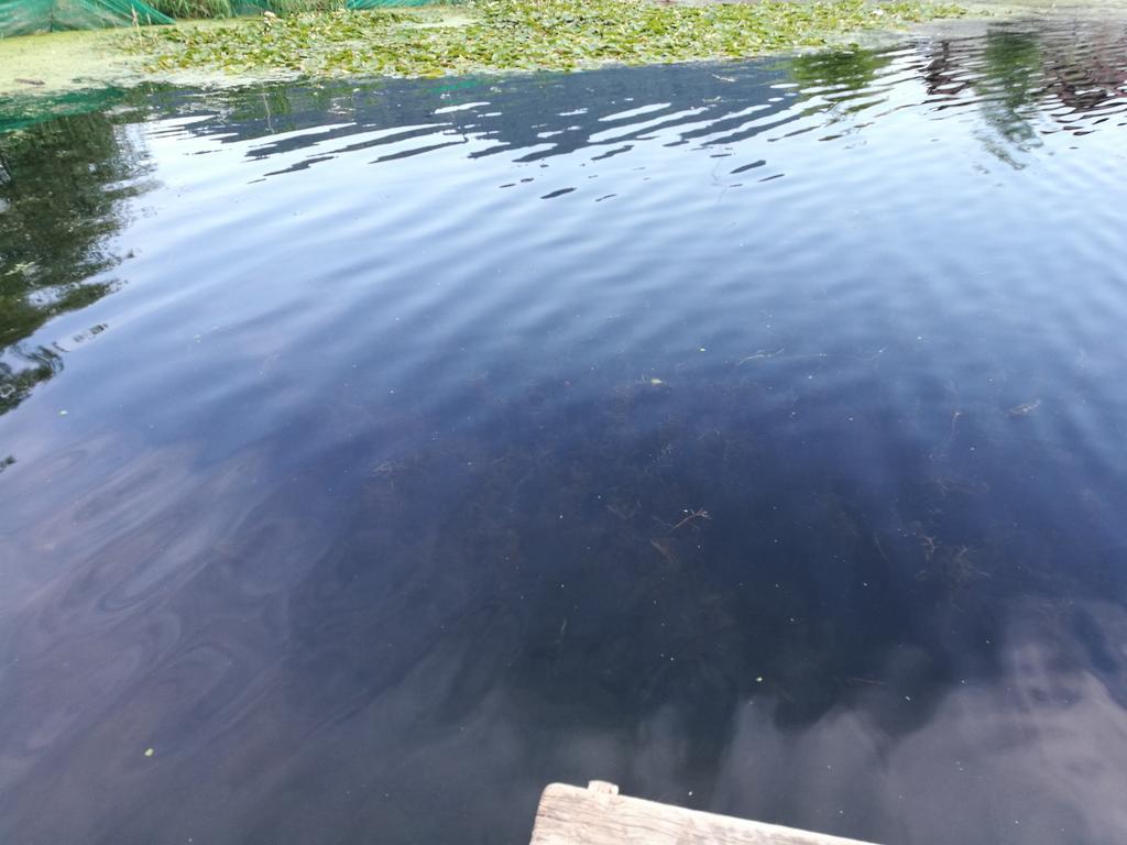 House Boat Hardy Palace Srīnagar 外观 照片